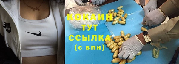 spice Аркадак